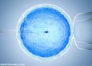 代生供卵公司